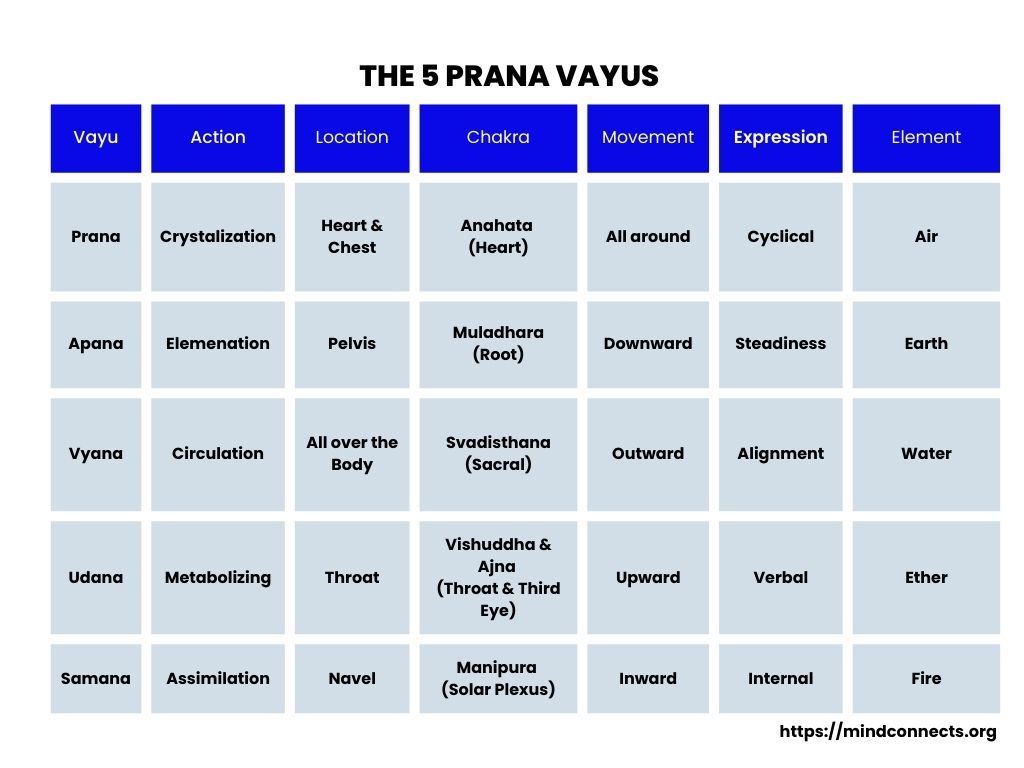 The 5 Prana Vayus The 5 Prana Vayus