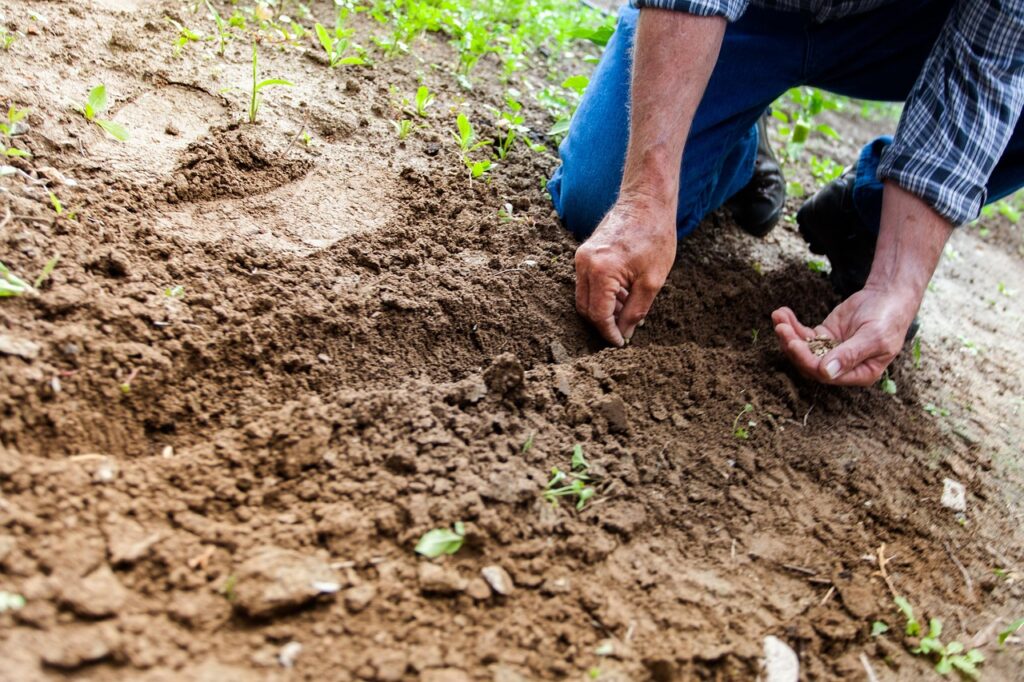soil bazi yin earth