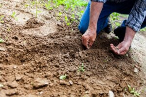 soil bazi yin earth